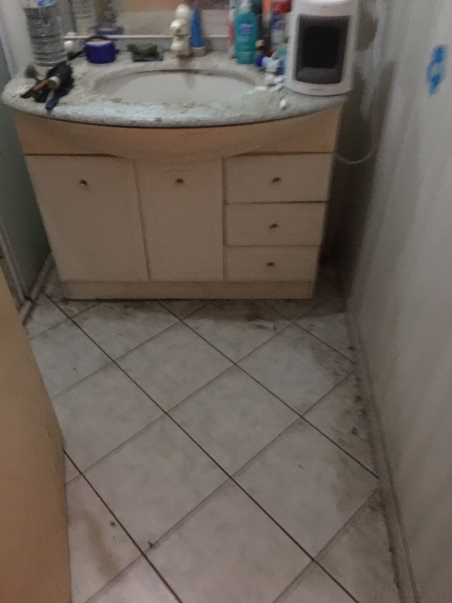 IMG 20241130 WA0008
